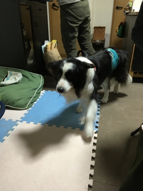 f0034602_08241478.jpeg