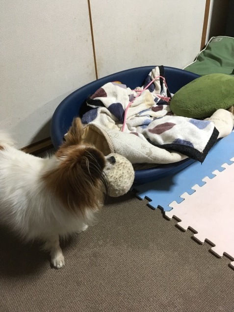 f0034602_08243647.jpeg