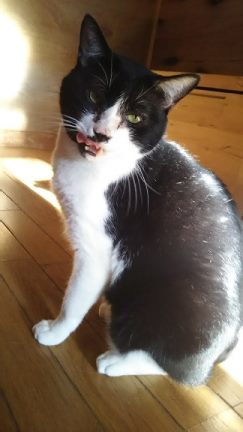 ぶーたんは犬が好きと言うよりも_f0242002_13565937.jpg