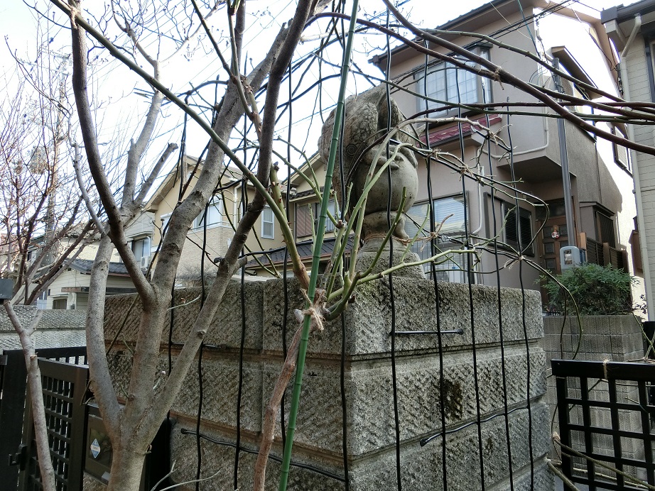 e0234004_10361527.jpg