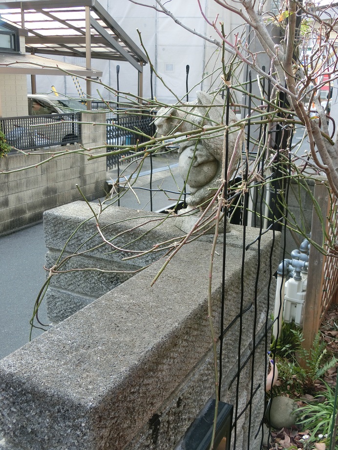 e0234004_10362289.jpg