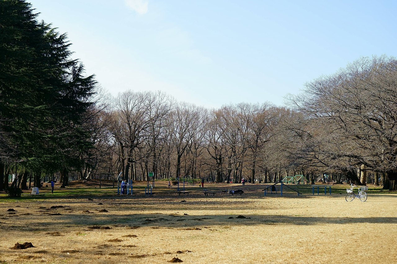 野川公園・冬の風景_b0225108_14102625.jpg