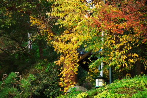 a0263109_20222841.jpg