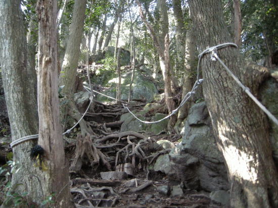f0196109_16061943.jpg