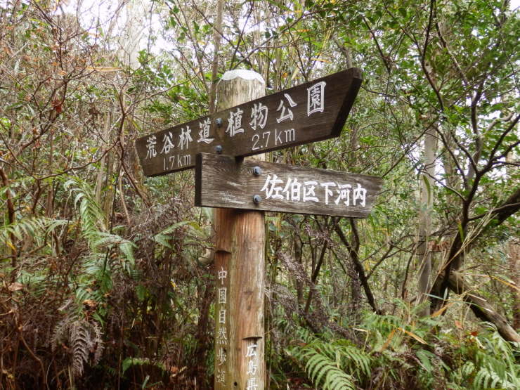f0219710_08410068.jpg
