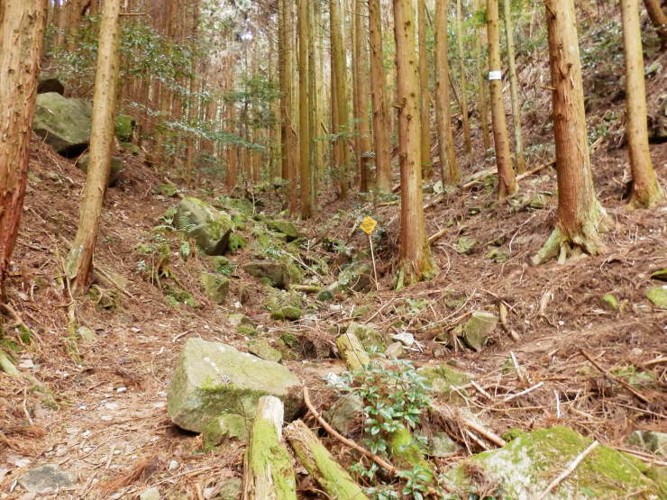f0219710_08450482.jpg