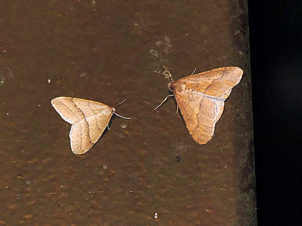 b0033112_004174.jpg