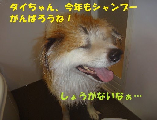 f0121712_23125510.jpg