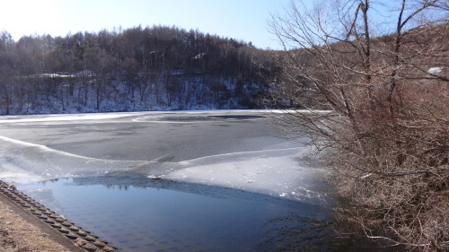 氷上で舞おうというわけじゃないので、いいんですけどね。_a0150213_10021796.jpg