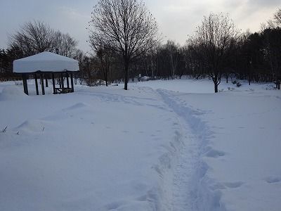 f0328313_12114123.jpg