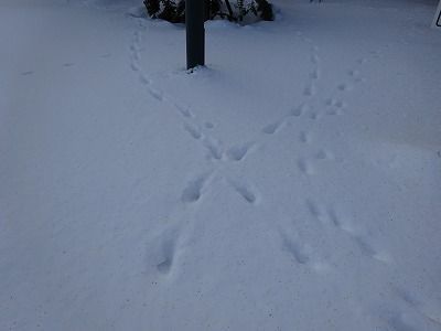 f0328313_12114945.jpg