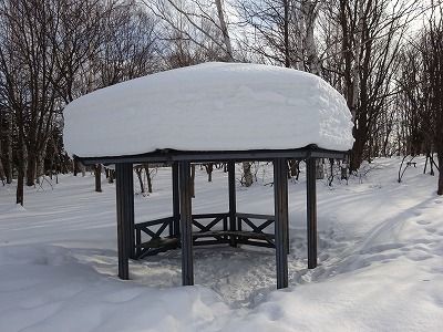 f0328313_12115732.jpg