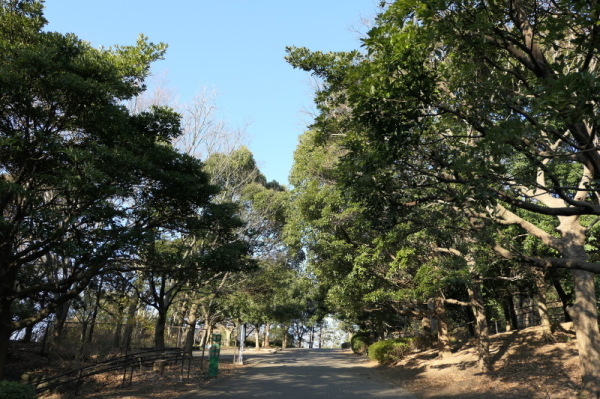 本牧山頂公園（横浜市中区）_f0369014_13153647.jpg