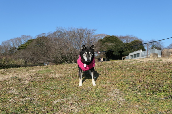 本牧山頂公園（横浜市中区）_f0369014_13231407.jpg