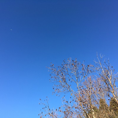 e0149215_22205390.jpg