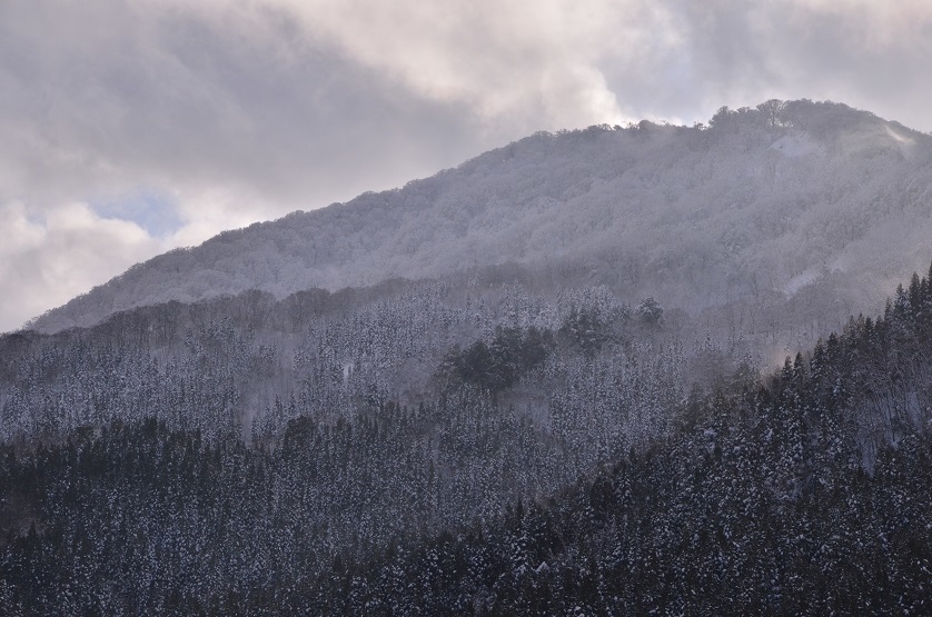 湯沢の雪景色_e0349817_20545397.jpg