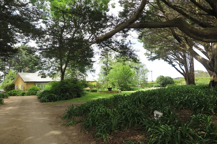 d0154118_21193171.jpg