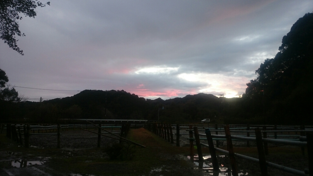 b0187620_20573652.jpg