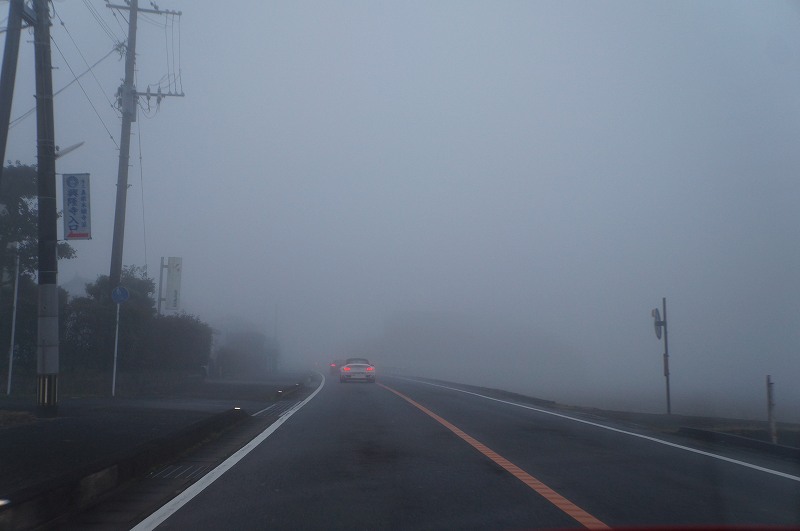 f0376926_23432986.jpg