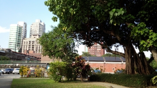 a0024829_22425613.jpg
