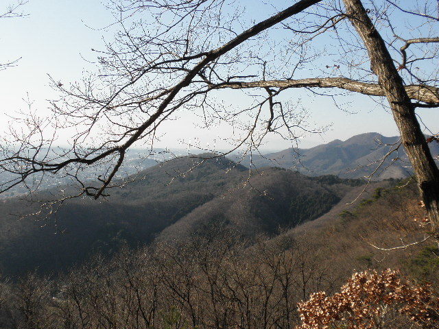 c0359929_00080545.jpg