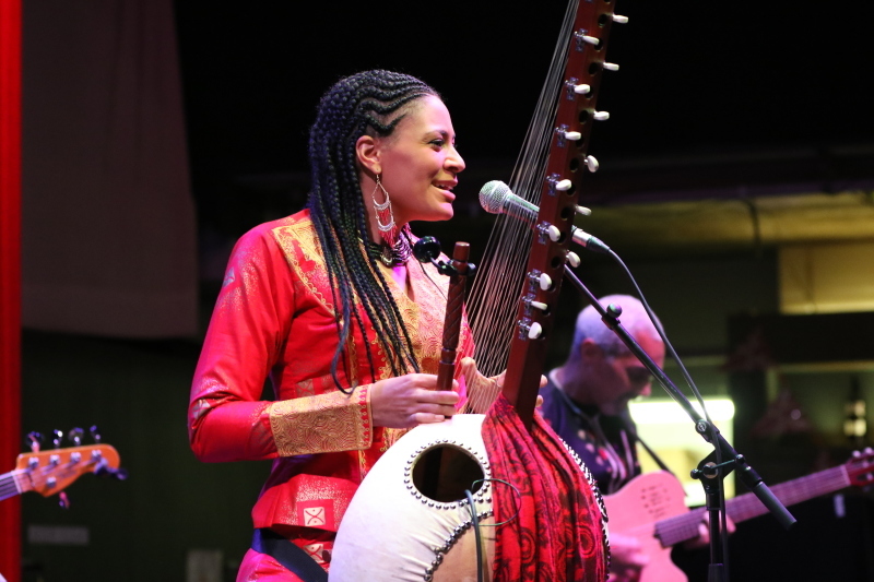 Sona Jobarteh Live in London 2016_d0010432_15052422.jpg