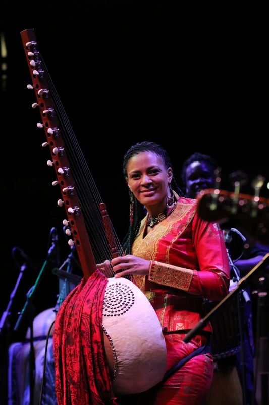 Sona Jobarteh Live in London 2016_d0010432_15053505.jpg