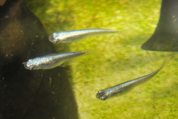 e0097534_16414787.jpg