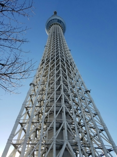 a0161036_17455197.jpg