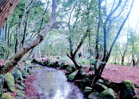 奈良公園南に高級ホテル想定_a0100742_10225257.jpg