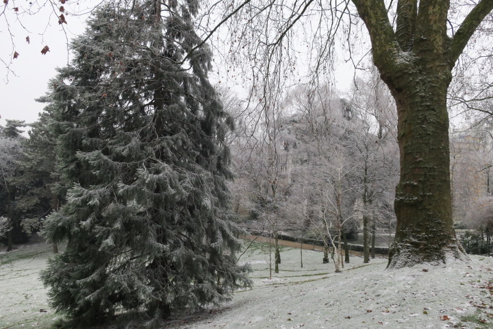 e0300042_23321570.jpg