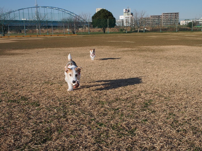 c0156345_14174277.jpg