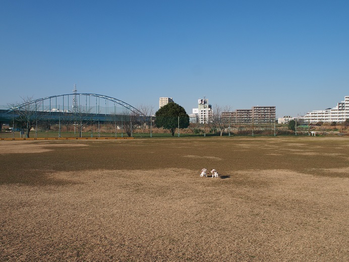 c0156345_14175294.jpg