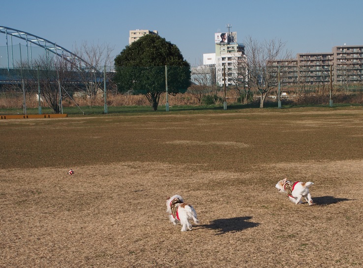 c0156345_14175989.jpg