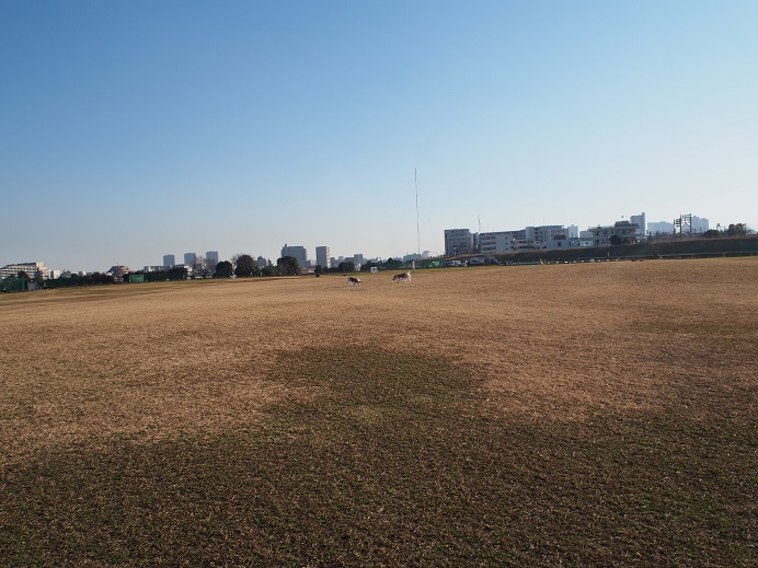 c0156345_14185679.jpg