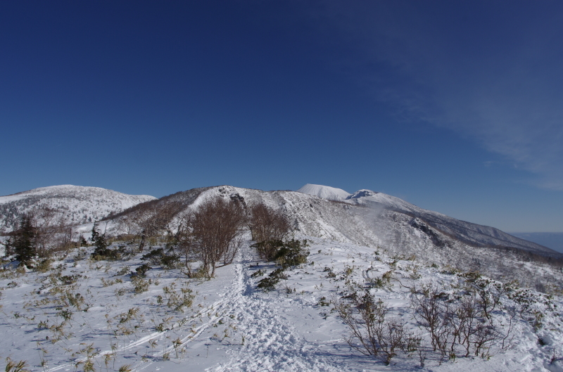c0077847_20314428.jpg