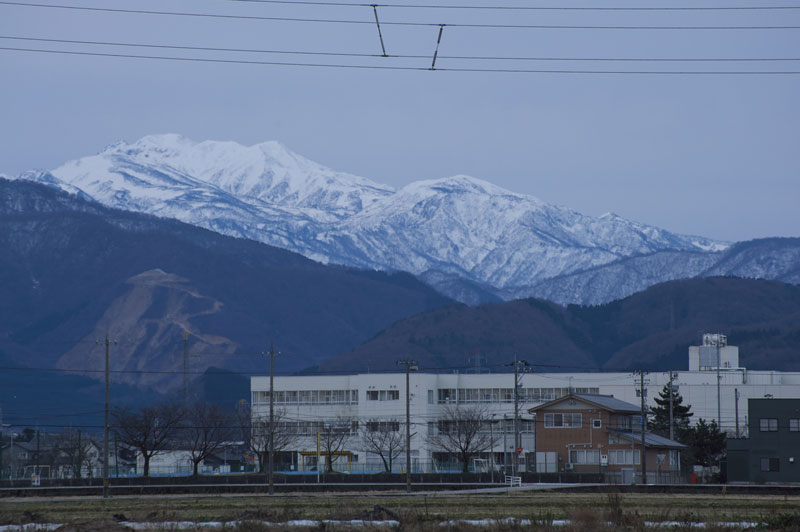 d0342652_958497.jpg