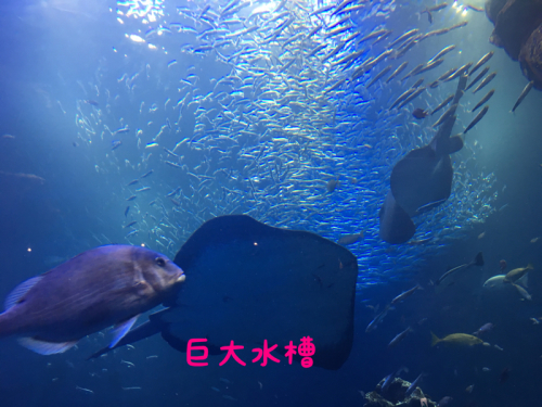 e0310553_10361411.jpg