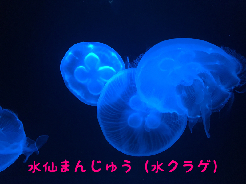 e0310553_10361550.jpg