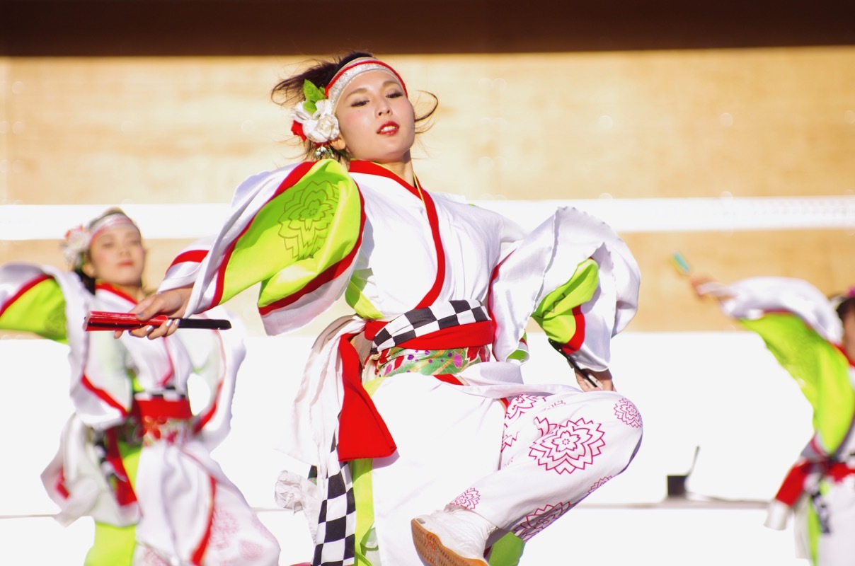 ２０１６智頭町きんさい！みんさい！踊りんさい！！その１２（輪舞その２）_a0009554_15155280.jpg