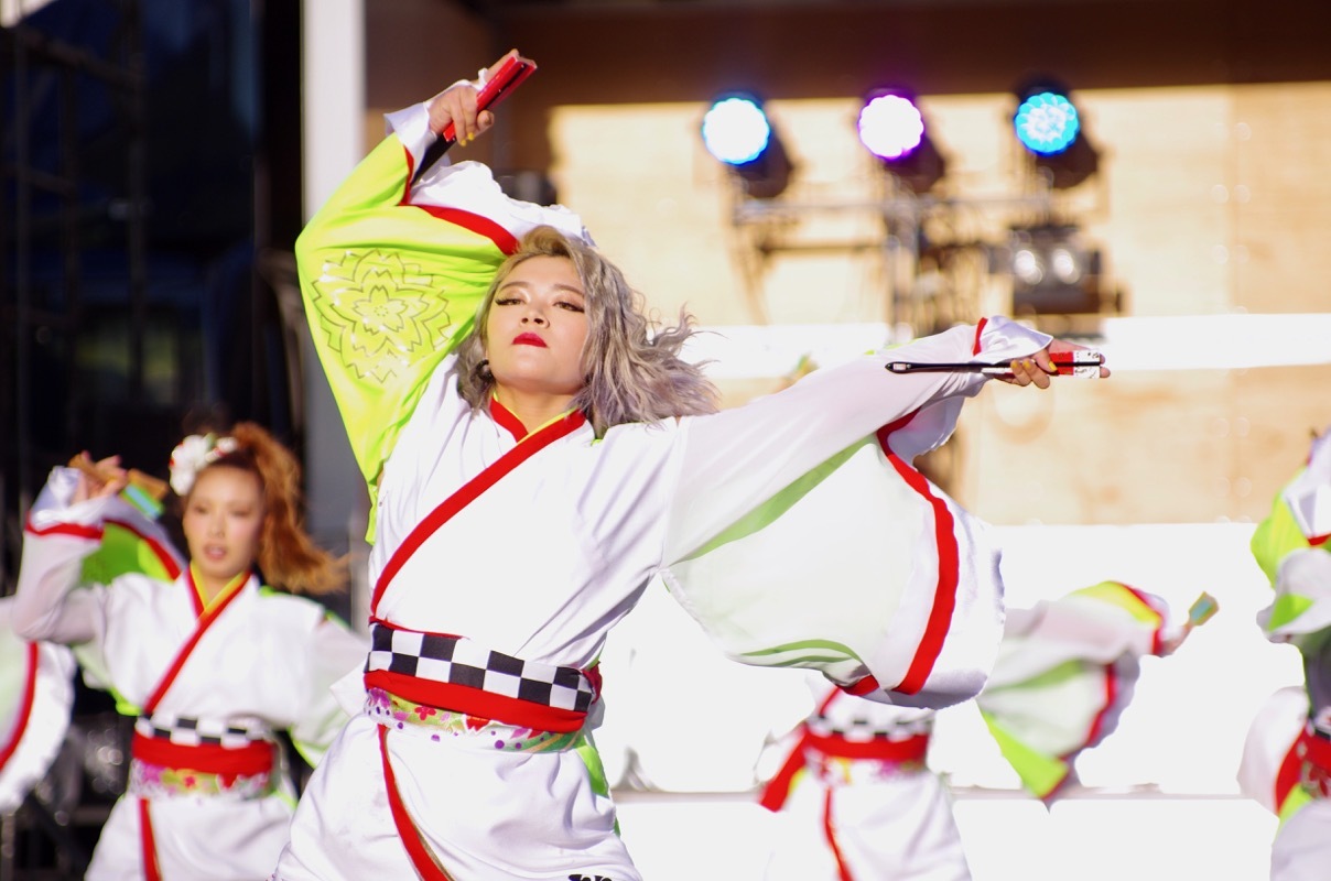 ２０１６智頭町きんさい！みんさい！踊りんさい！！その１２（輪舞その２）_a0009554_15161361.jpg