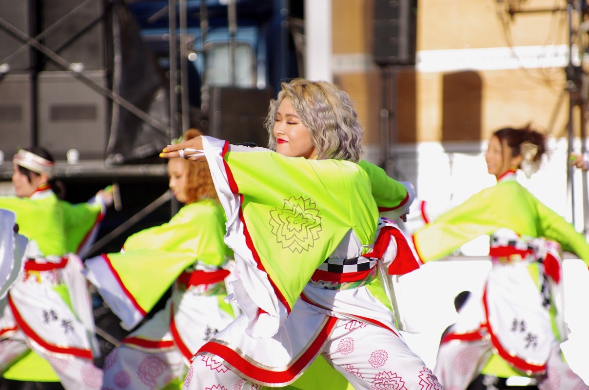 ２０１６智頭町きんさい！みんさい！踊りんさい！！その１２（輪舞その２）_a0009554_15195197.jpg