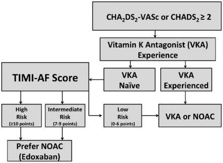 抗凝固薬の新しいTIMI-AFスコアはワルファリンかNOACかの選択に有効か：ESC誌_a0119856_11341615.gif