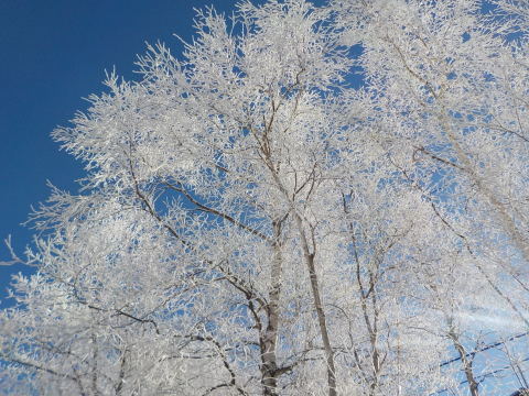 e0200357_23004449.jpg