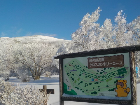 e0200357_23013314.jpg