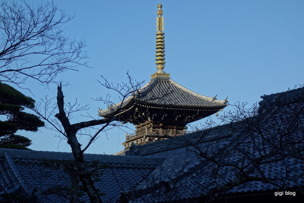 f0374868_20450423.jpg
