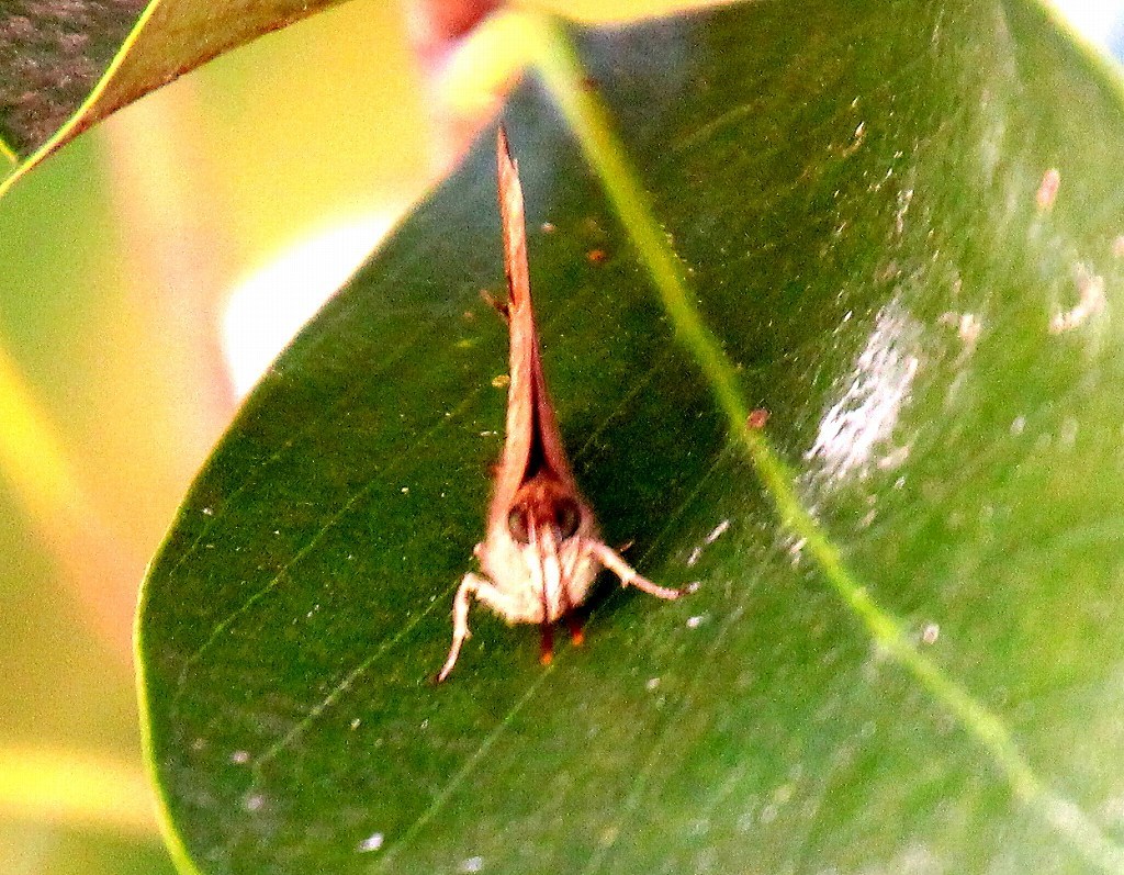 b0320769_12280688.jpg