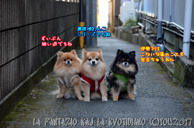 a0004070_13223739.jpg