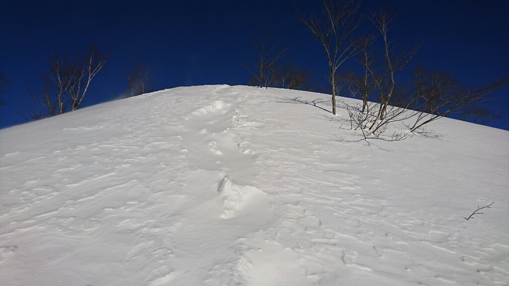 a0266370_19421097.jpg