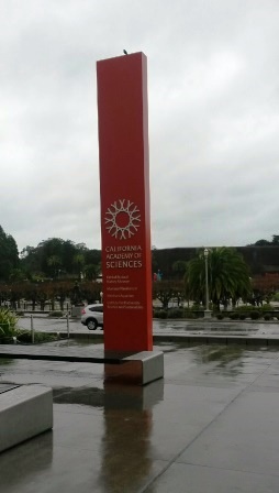 e0350971_17405290.jpg
